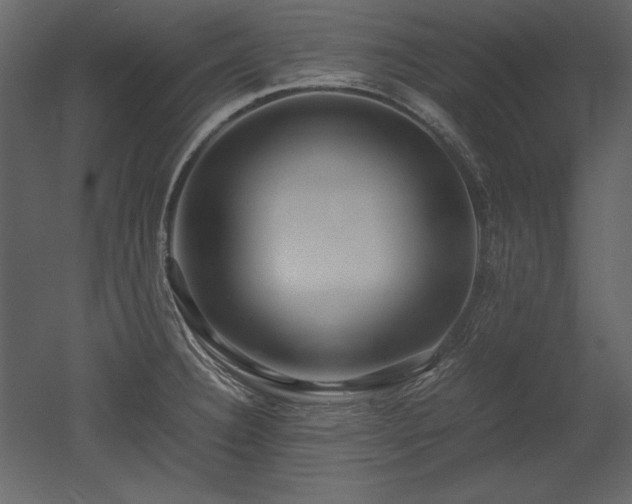 X0000053011332200507081249