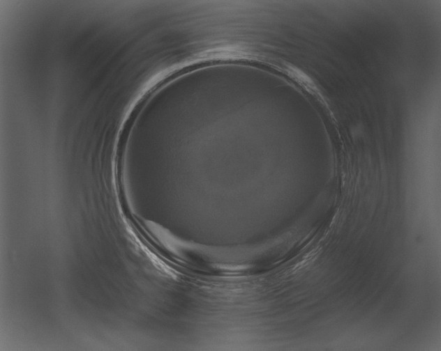 X0000053011334200507081249