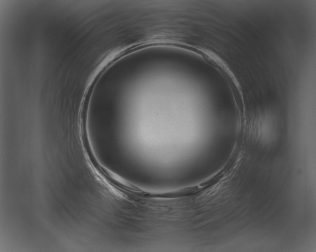 X0000053011341200507081249