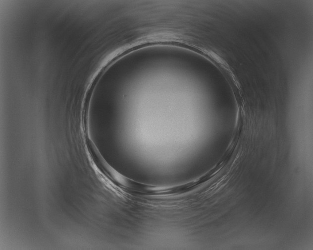 X0000053011342200507081249
