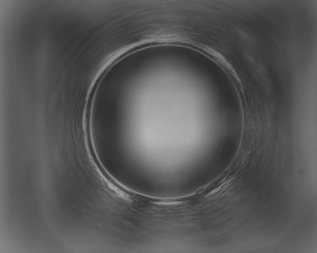 X0000053011343200507081249