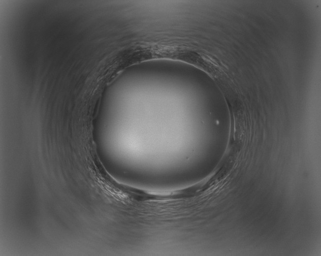 X0000053011345200507081249