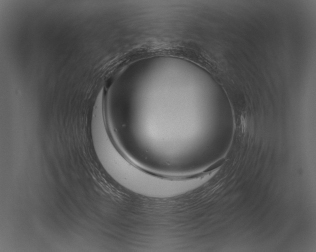 X0000053011348200507081249