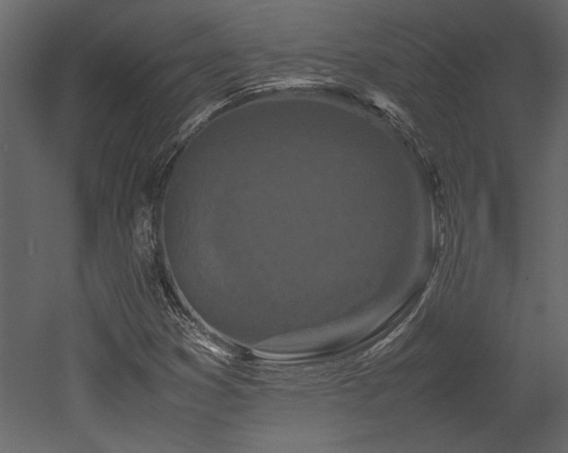 X0000053011353200507081249