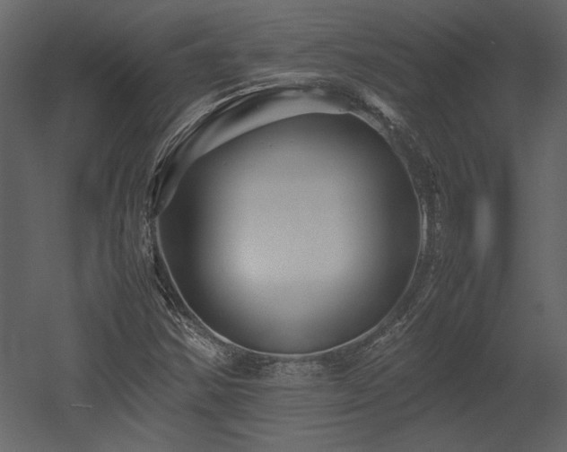 X0000053011354200507081249