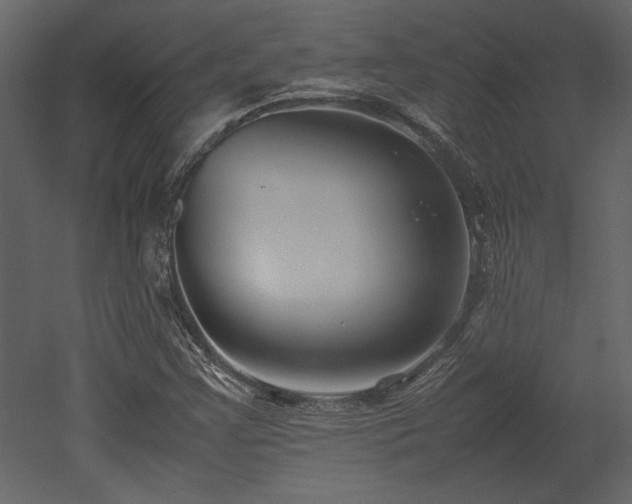 X0000053011355200507081249