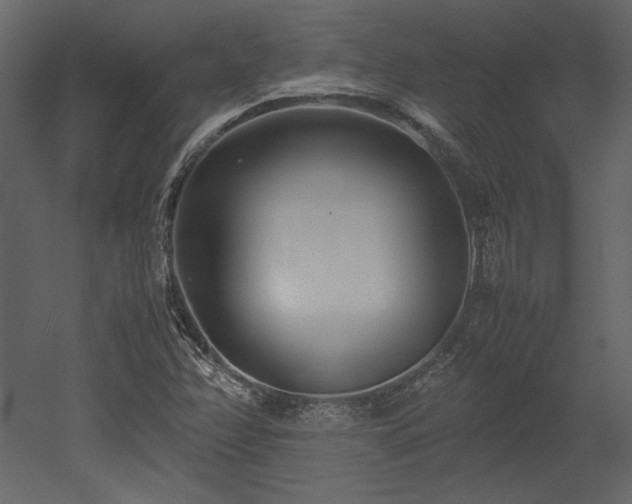 X0000053011358200507081248