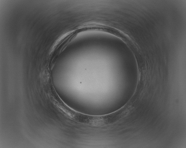X0000053011363200507081248