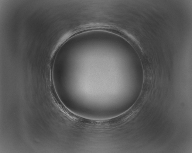X0000053011365200507081248