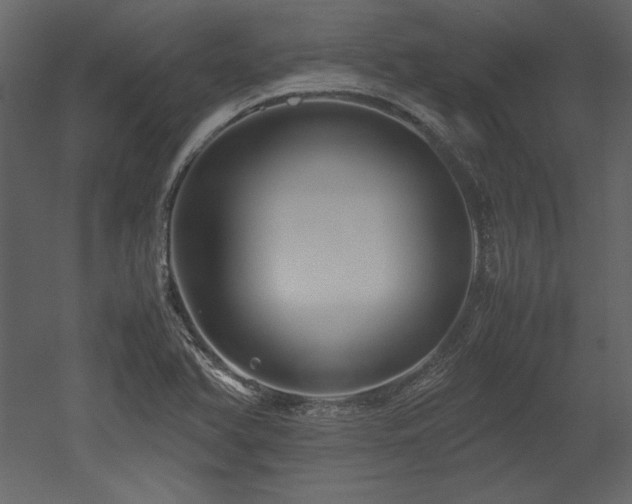 X0000053011366200507081248