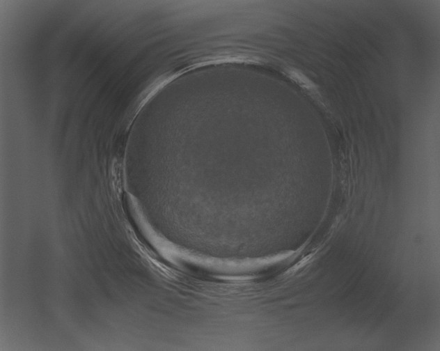 X0000053011369200507081248