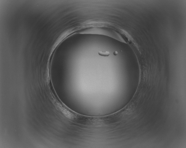 X0000053011370200507081248