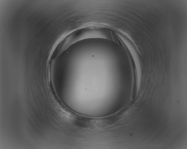 X0000053011371200507081248