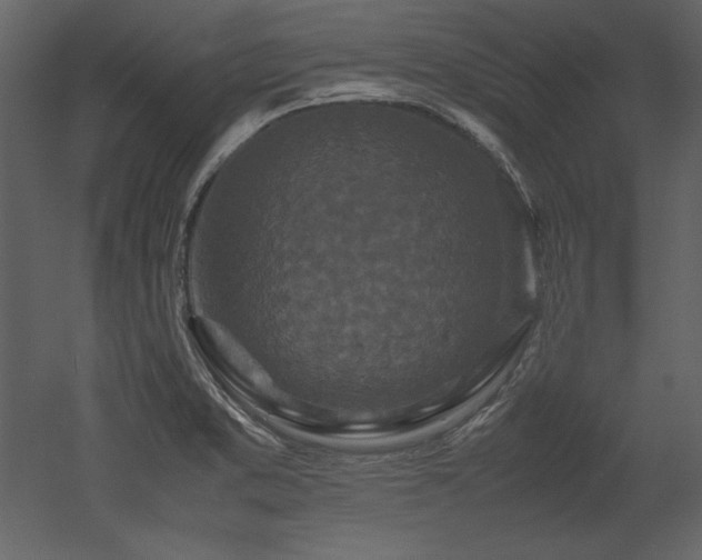 X0000053011373200507081248