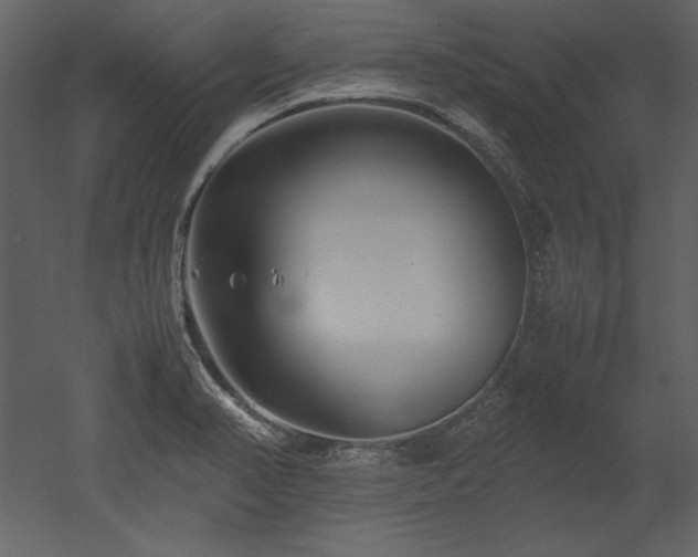 X0000053011374200507081248
