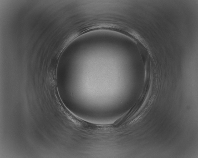 X0000053011377200507081248