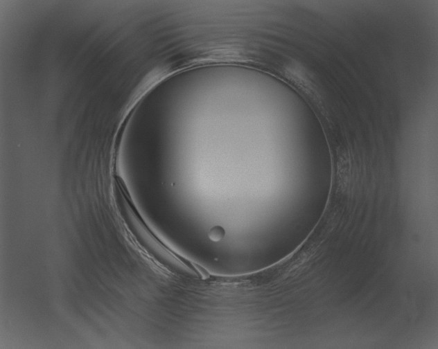 X0000053011378200507081248