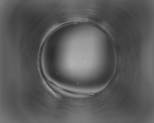 X0000053011379200507081248