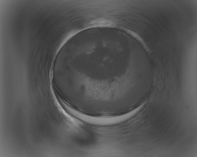 X0000053011383200507081248
