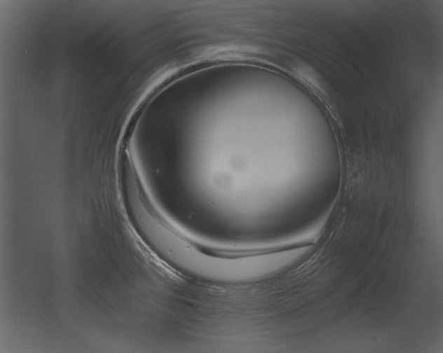 X0000053011384200507081248