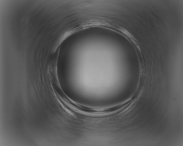 X0000053011385200507081248