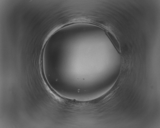 X0000053011387200507081248