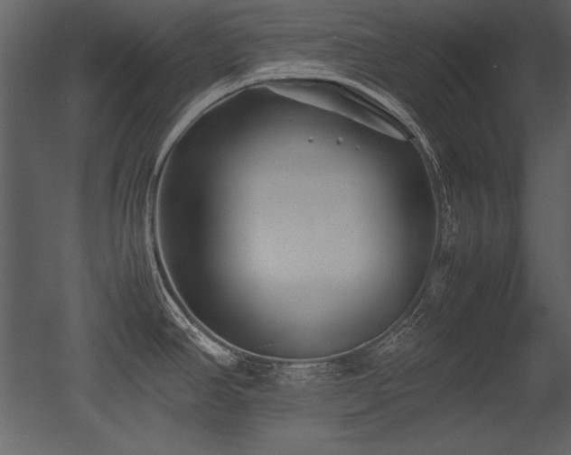 X0000053011390200507081248