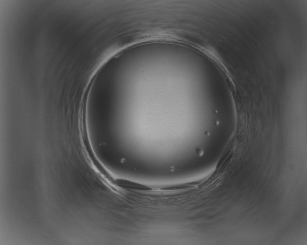 X0000053011391200507081248
