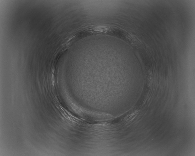 X0000053011394200507081247
