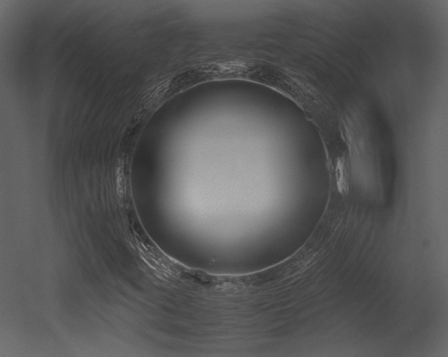 X0000053011395200507081247