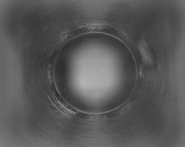 X0000053011396200507081247