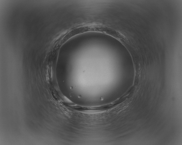 X0000053011398200507081247