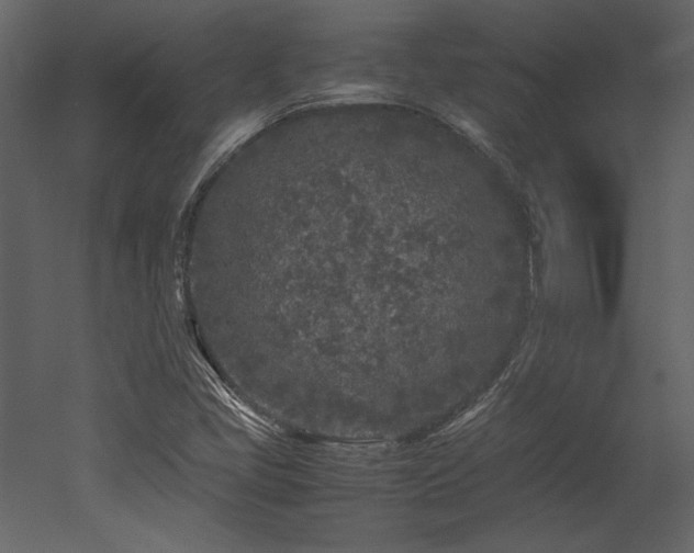 X0000053011405200507081247