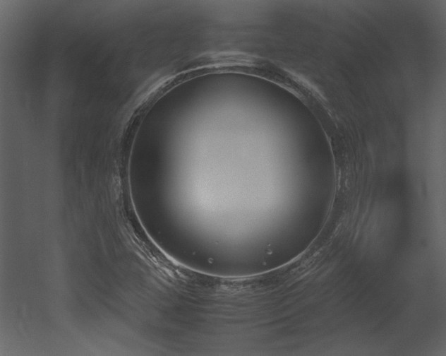 X0000053011407200507081247