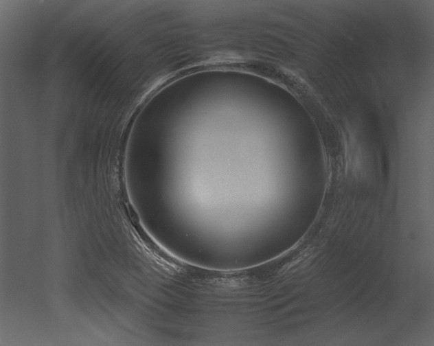 X0000053011409200507081247