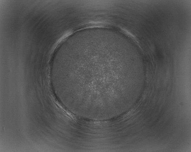 X0000053011411200507081247