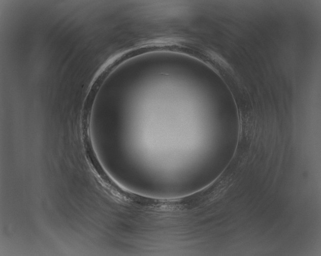 X0000053011412200507081247