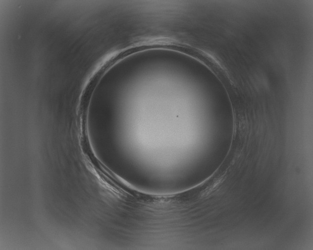 X0000053011414200507081247