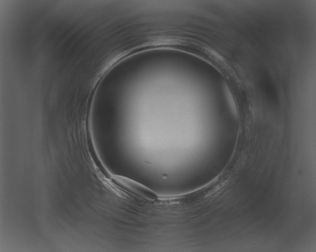 X0000053011417200507081247