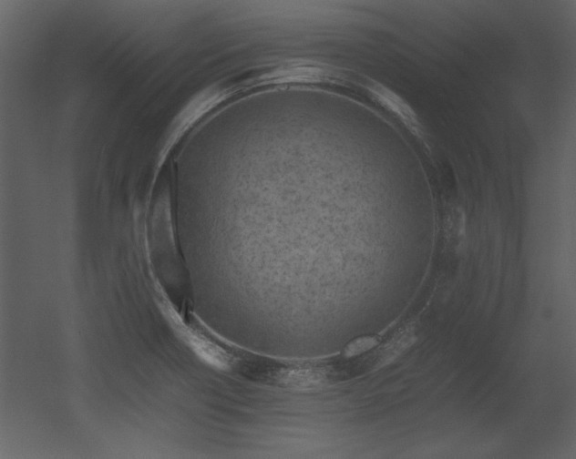 X0000053011418200507081247