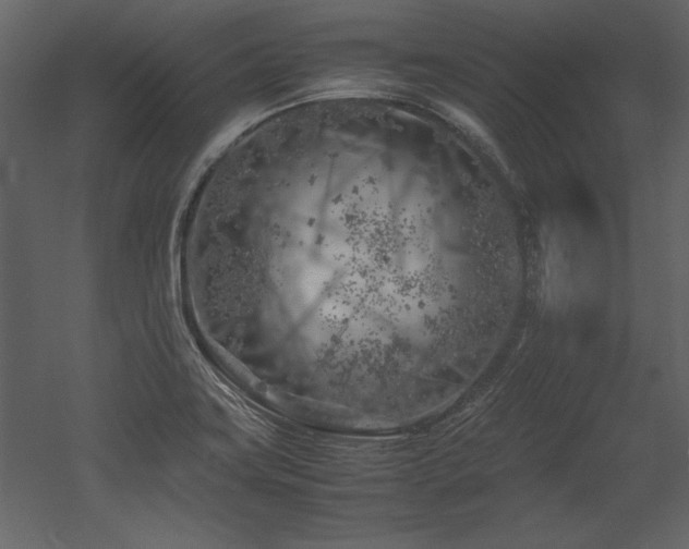 X0000053011419200507081247