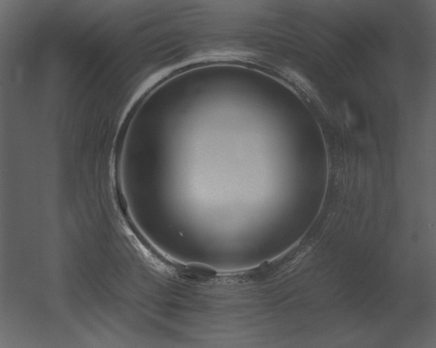 X0000053011420200507081248