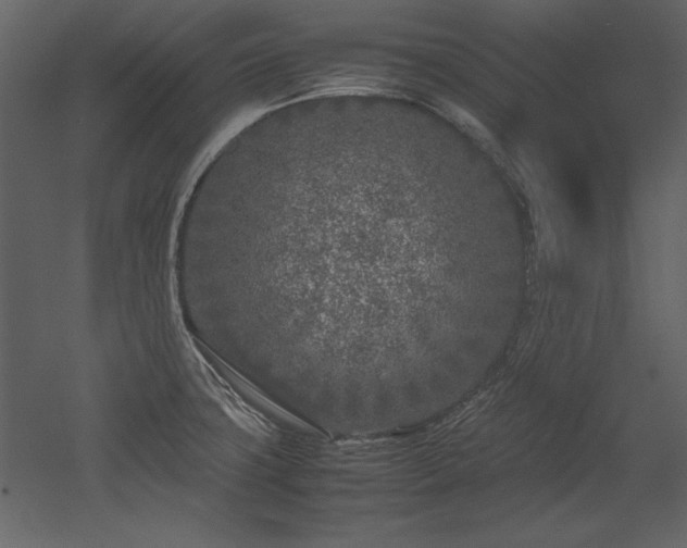 X0000053011427200507081248