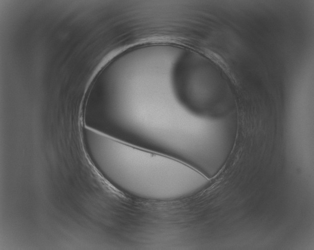 X0000053011428200507081248