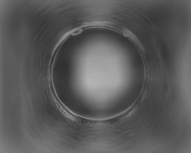 X0000053011436200507081248