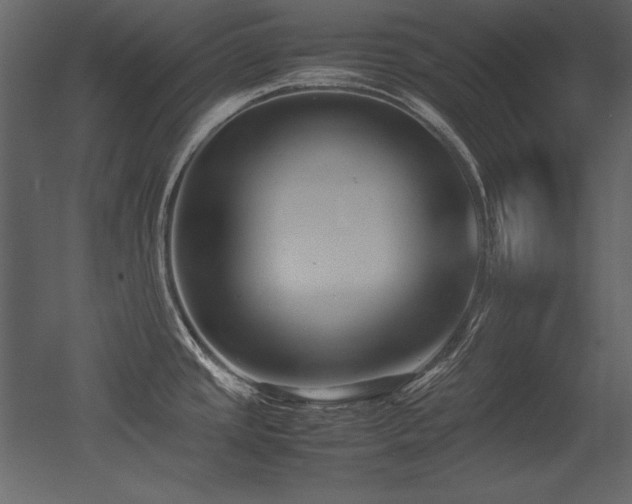 X0000053011437200507081248