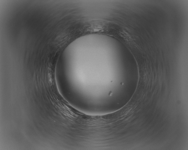 X0000053011442200507081247