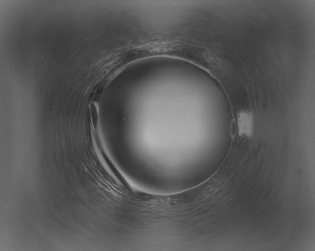 X0000053011444200507081247