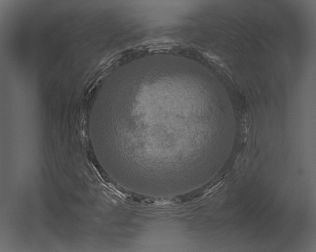 X0000053011445200507081247