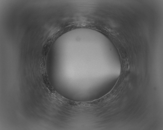 X0000053011446200507081247